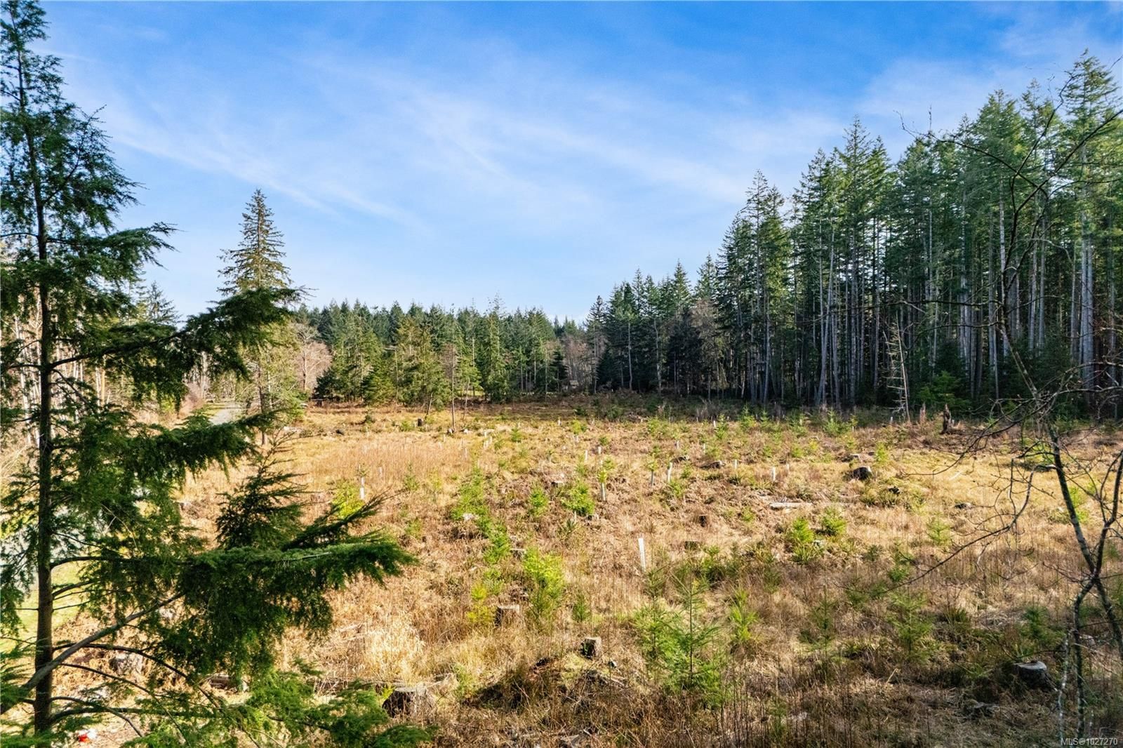 Lot for sale in Quadra Island, Lot 1 Cape Mudge Rd, 1027270 | Realtylink.org