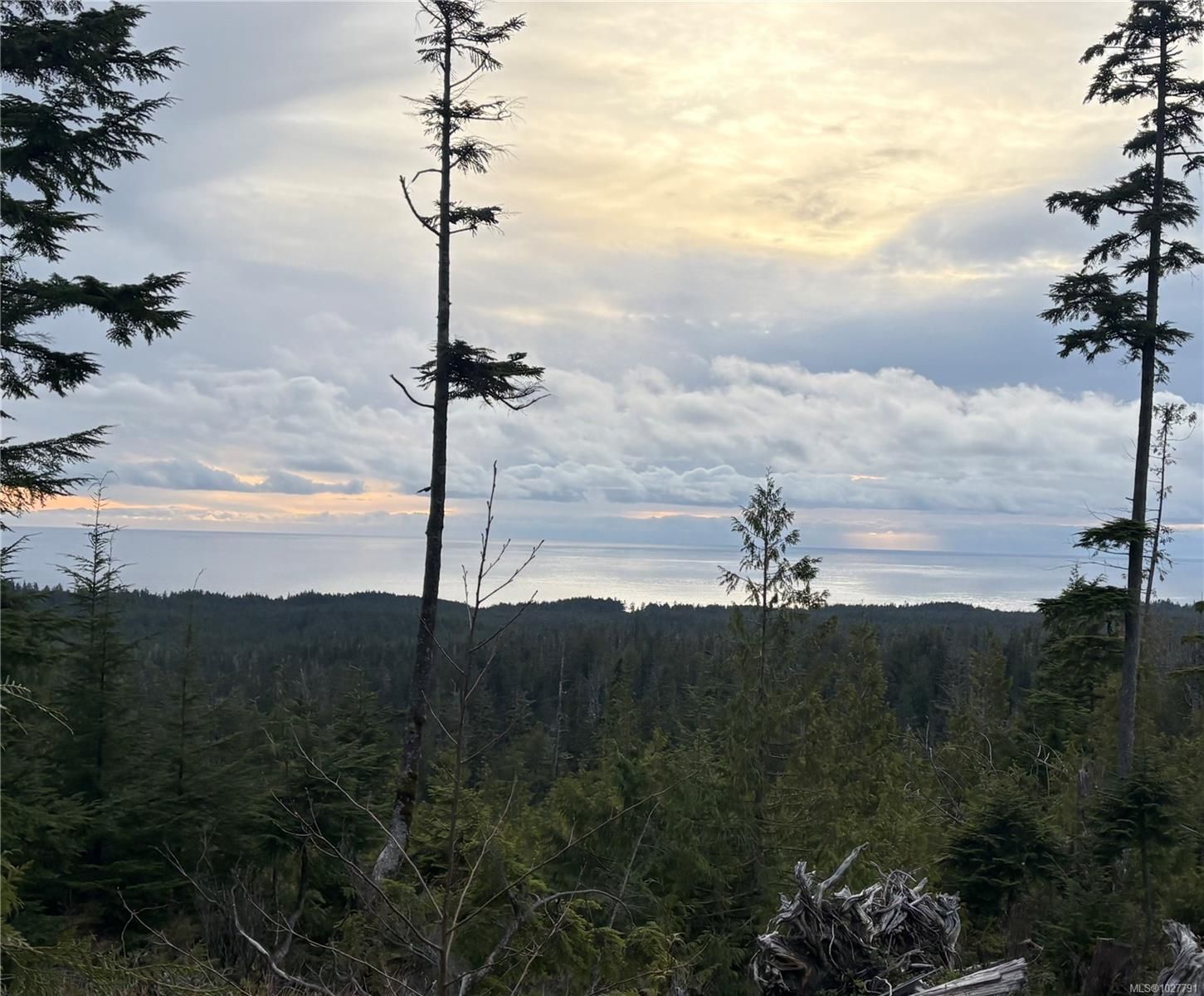 Lot for sale in Bamfield, 0 Michigan Main Rd, 1027791 | Realtylink.org