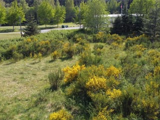 Lot for sale in Sayward, 691 Kelsey Way, 1027968 | Realtylink.org