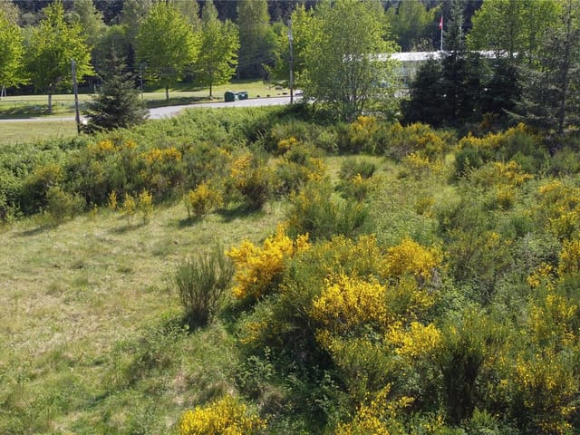 Lot for sale in Sayward, 691 Kelsey Way, 1027968 | Realtylink.org