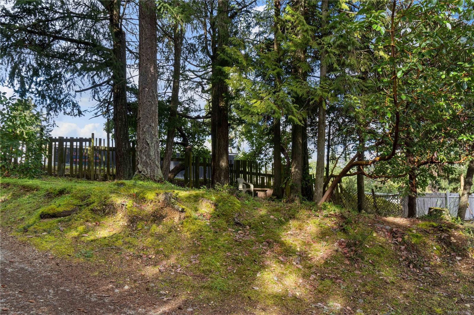 Other Property for sale in Errington, 992 Allenby Rd, 1028092 | Realtylink.org