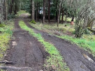 Lot for sale in Gabriola Island, Lot 80 McGillvary Ave, 1028242 | Realtylink.org