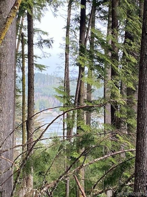 Lot for sale in Sointula, 1 1st St, 1028270 | Realtylink.org