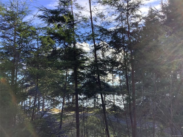 Lot for sale in Sointula, 1 1st St, 1028270 | Realtylink.org