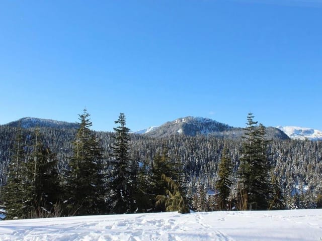 Apartment for sale in Courtenay, 106 1105 Henry Rd, 1028559 | Realtylink.org