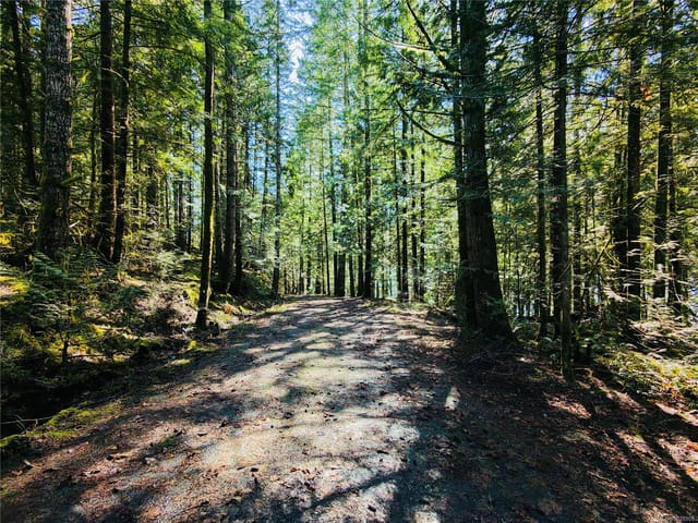 Lot for sale in Lake Cowichan, N/a Youbou Rd, 1028908 | Realtylink.org