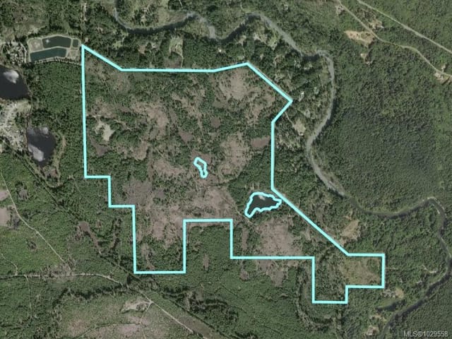 Commercial property for sale in Lake Cowichan, 200 Hudgrove Rd, 1029558 | Realtylink.org