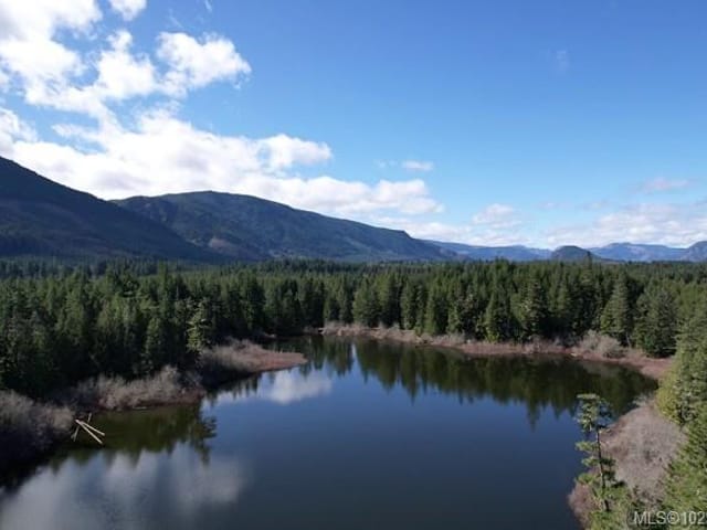 Commercial property for sale in Lake Cowichan, 200 Hudgrove Rd, 1029558 | Realtylink.org