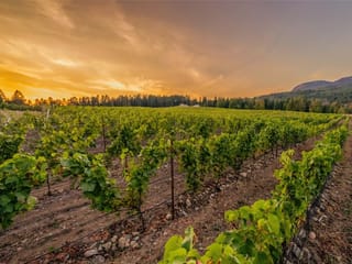 Commercial Land for sale in Duncan, Sl1 North Rd, 1030568 | Realtylink.org