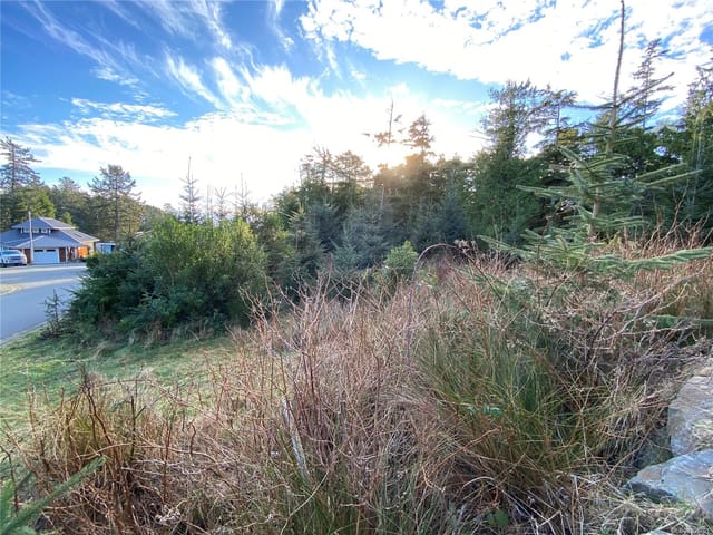 Lot for sale in Ucluelet, 342 Pass of Melfort Pl, 1030701 | Realtylink.org