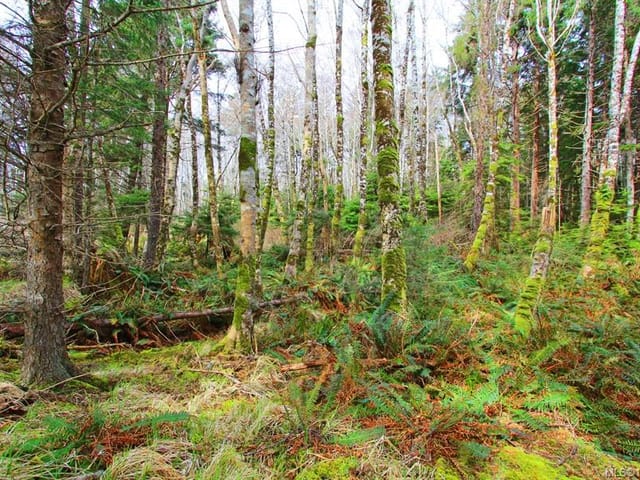 Lot for sale in See Remarks, 555 Chinukundl Rd, 1031283 | Realtylink.org