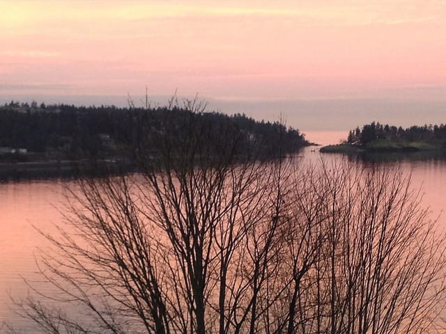 Apartment for sale in Nanaimo, 205 2560 Departure Bay Rd, 1031649 | Realtylink.org