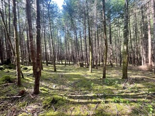 Lot for sale in Gabriola Island, 1840 Seymour Rd, 1031885 | Realtylink.org