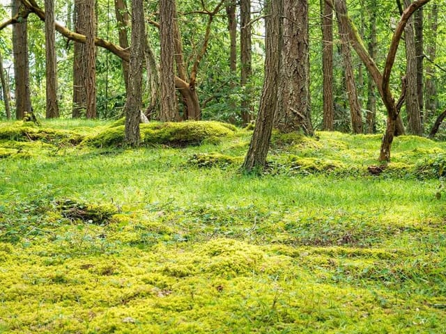 Lot for sale in Mudge Island, Lot 88 Sockeye Dr, 1032150 | Realtylink.org