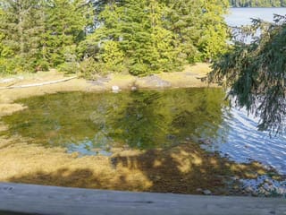 Apartment for sale in Ucluelet, 507 1971 Harbour Dr, 1032485 | Realtylink.org
