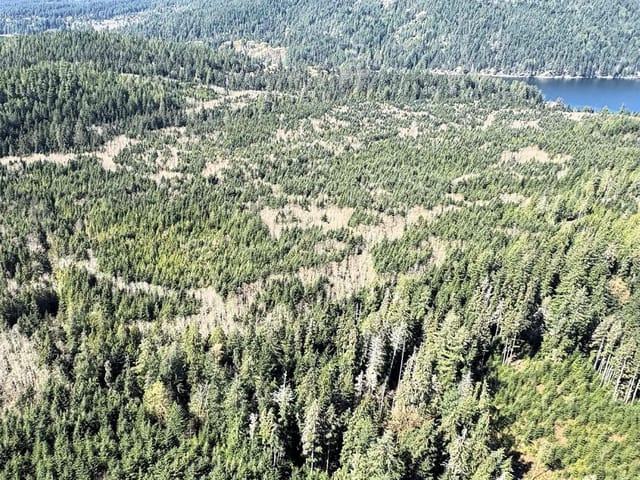 Lot for sale in Read Island, 9 Read Isl, 1032967 | Realtylink.org