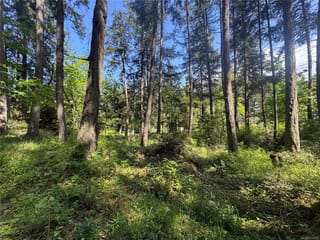 Lot for sale in Protection Island, 103 Captain Morgans Blvd, 1034085 | Realtylink.org