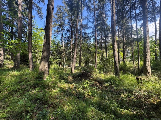 Lot for sale in Protection Island, 103 Captain Morgans Blvd, 1034085 | Realtylink.org