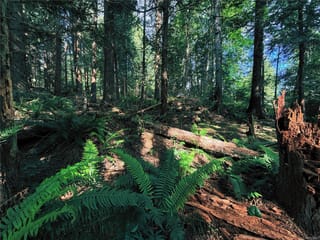 Lot for sale in Gabriola Island, Lot 6 Spruce Ave, 1036850 | Realtylink.org