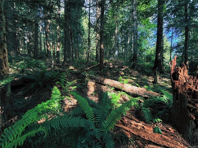 Lot for sale in Gabriola Island, Lot 6 Spruce Ave, 1036850 | Realtylink.org
