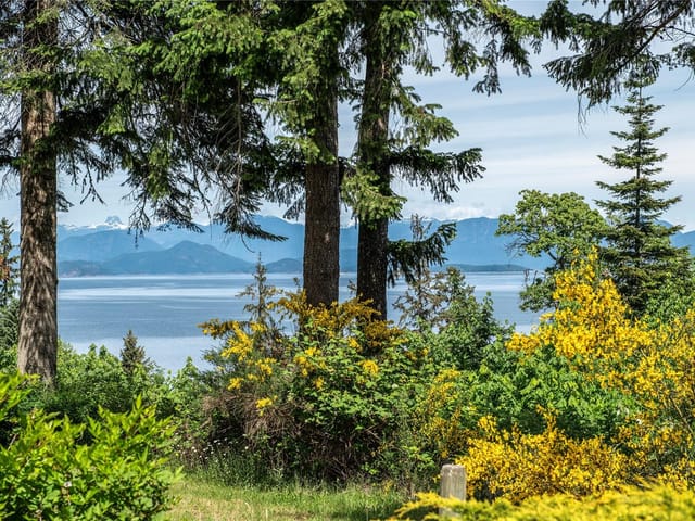 House for sale in Quadra Island, 229 Quadra Loop, 1037446 | Realtylink.org