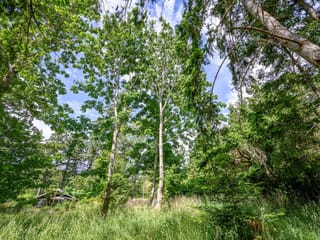 Lot for sale in Hornby Island, 4920 Kirk Rd, 1039554 | Realtylink.org