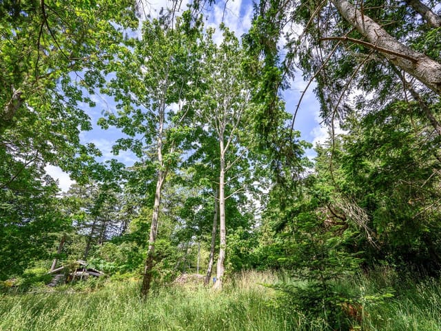 Lot for sale in Hornby Island, 4920 Kirk Rd, 1039554 | Realtylink.org