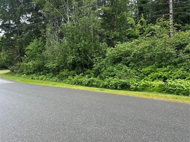 Lot for sale in Sayward, Lot 3 Despins Rd, 1039877 | Realtylink.org