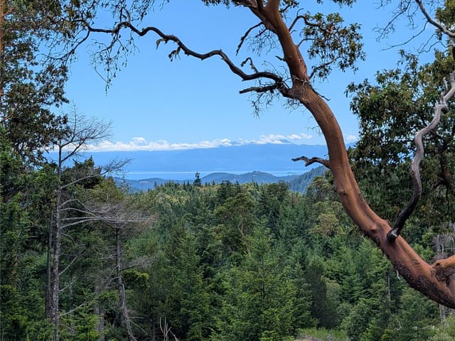 Lot for sale in Shawnigan Lake, Lt 6 Eagle Vista Rd, 1039901 | Realtylink.org