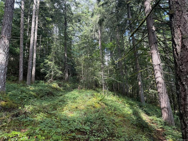 Lot for sale in Ladysmith, part Dl106 Grouhel Rd, 1039911 | Realtylink.org