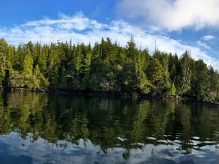 Lot for sale in Tofino, 28 Hot Springs Oceanside Blank, 1039973 | Realtylink.org