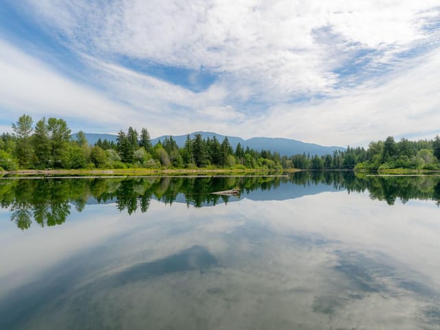 Lot for sale in Port Alberni, 11258 Pine St, 1041426 | Realtylink.org