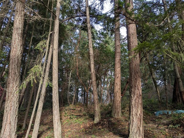 Lot for sale in Protection Island, 174 Pirates Ln, 1042939 | Realtylink.org