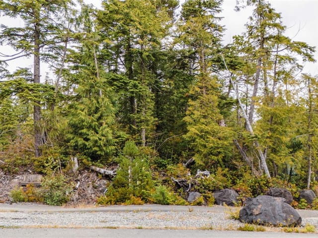Lot for sale in Ucluelet, Lot 50 Cedar Grv, 1043126 | Realtylink.org