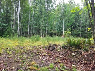 Lot for sale in Lake Cowichan, Lot B 7531 Cowichan Lake Rd, 1043208 | Realtylink.org