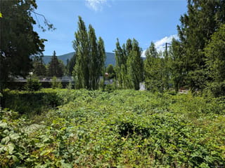 Lot for sale in Lake Cowichan, 96 Cowichan Ave, 1043256 | Realtylink.org