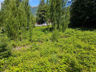 Lot for sale in Lake Cowichan, 172 South Shore Rd, 1043260 | Realtylink.org