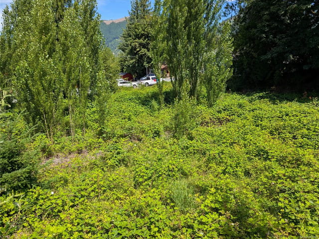 Lot for sale in Lake Cowichan, 172 South Shore Rd, 1043260 | Realtylink.org