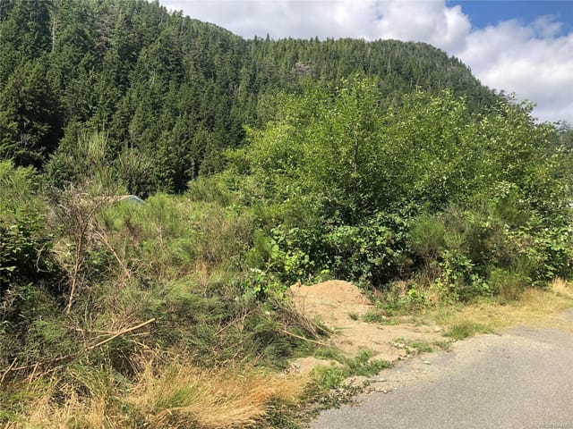 Lot for sale in Tahsis, 9 Freda Rd, 1044582 | Realtylink.org