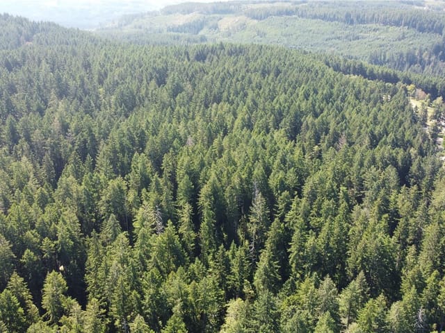 Lot for sale in Port Alberni, Lt 3 Canal St, 1044917 | Realtylink.org