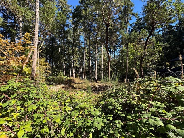 Lot for sale in Protection Island, 164 Pirates Ln, 1047693 | Realtylink.org