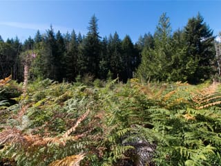 Lot for sale in Merville, Lt 8 South Farnham Rd, 1047840 | Realtylink.org