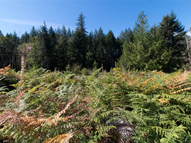 Lot for sale in Merville, Lt 8 South Farnham Rd, 1047840 | Realtylink.org