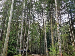 Lot for sale in Gabriola Island, 323 Davis Rd, 1048176 | Realtylink.org