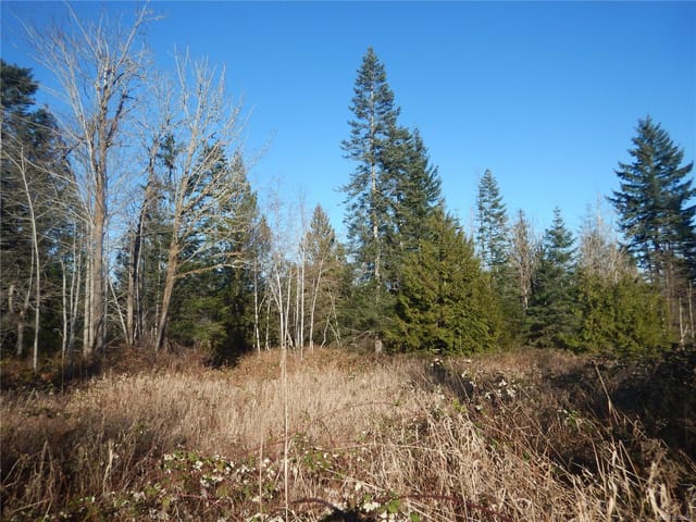 Lot for sale in Fanny Bay, Lot 2 Artela Dr, 1050862 | Realtylink.org