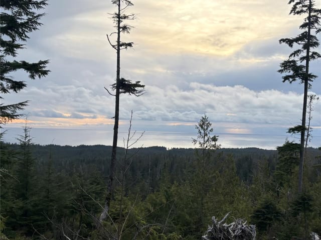 Lot for sale in Bamfield, 0 Michigan Main Rd, 1051108 | Realtylink.org