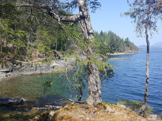 Lot for sale in Cortes Island, SITE 6 1846 Tiber Bay Rd, 1051770 | Realtylink.org