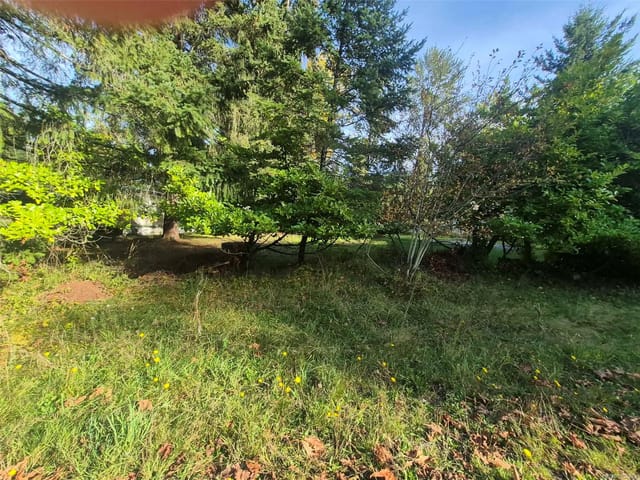 Lot for sale in Black Creek, 2530 Macaulay Rd, 1052023 | Realtylink.org
