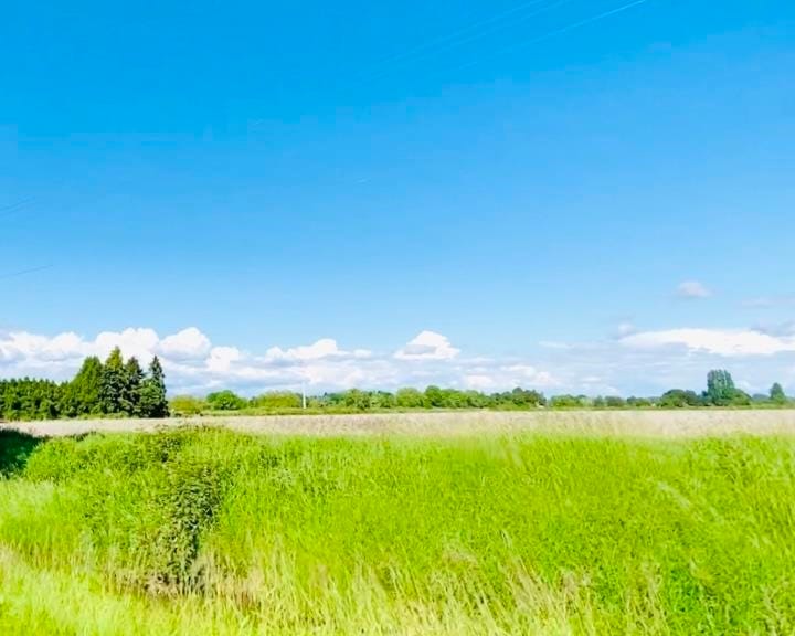 Commercial Land for sale in Richmond, Richmond, 13091 No. 3 Road, 224961830 | Realtylink.org