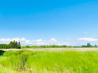 Commercial Land for sale in Richmond, Richmond, 13091 No. 3 Road, 224961830 | Realtylink.org